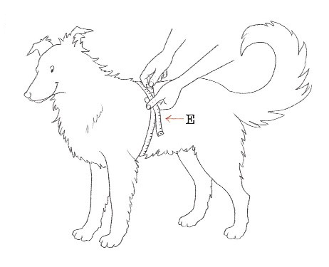 Measurement Instructions
