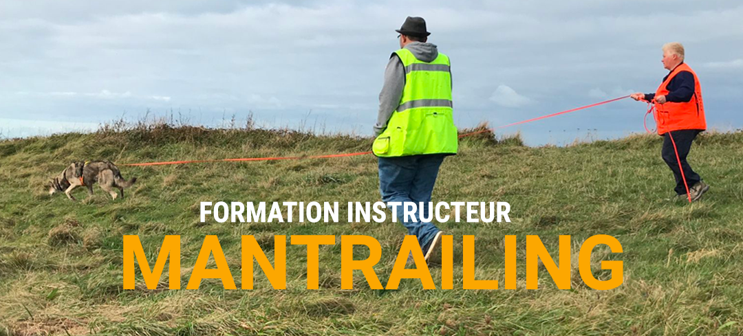 Formation Instructeur Mantrailing