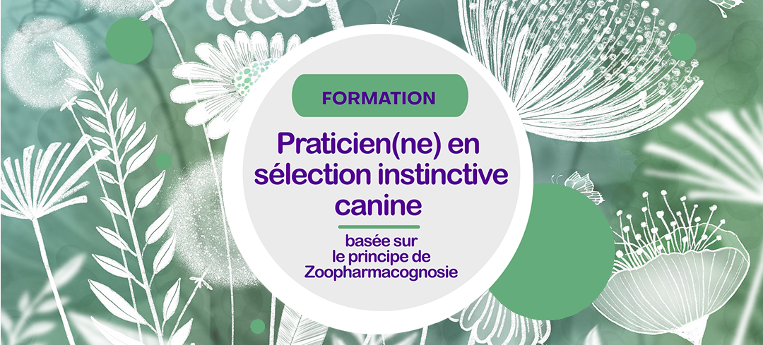 Formation Sélection Instinctive basée sur la Zoopharmacognosie