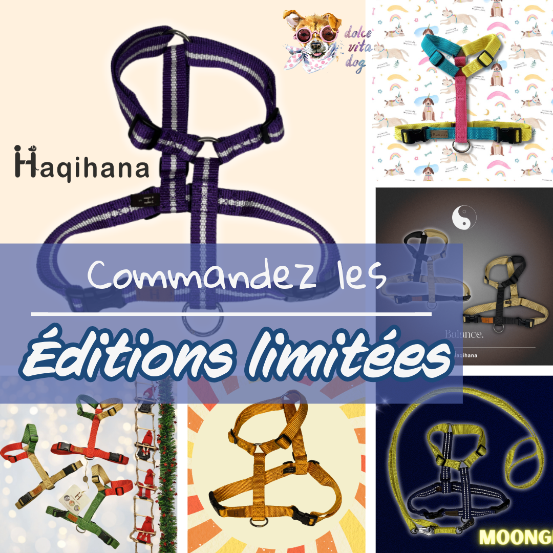 Edition limitées