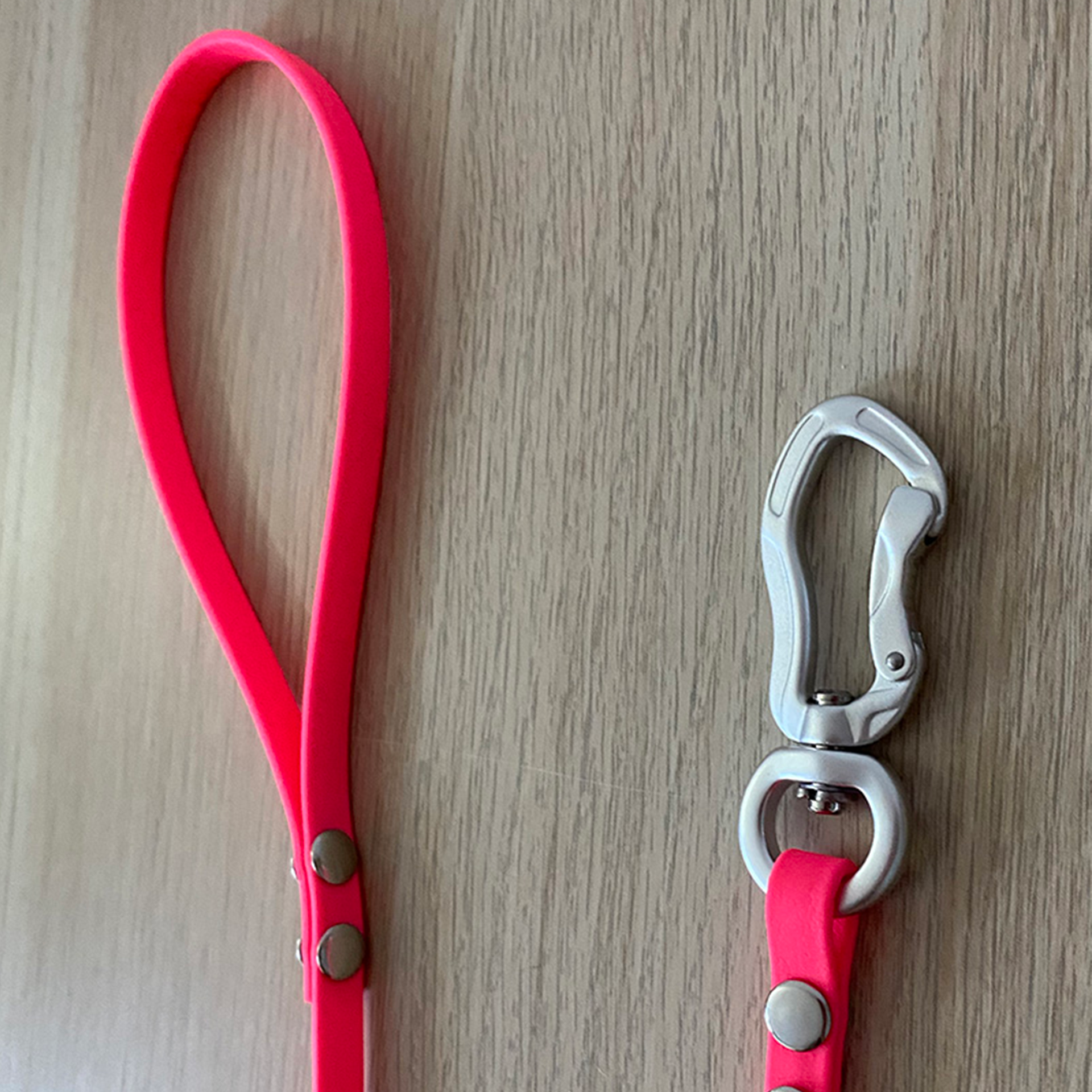 Longe DolceVitaDog Biothane