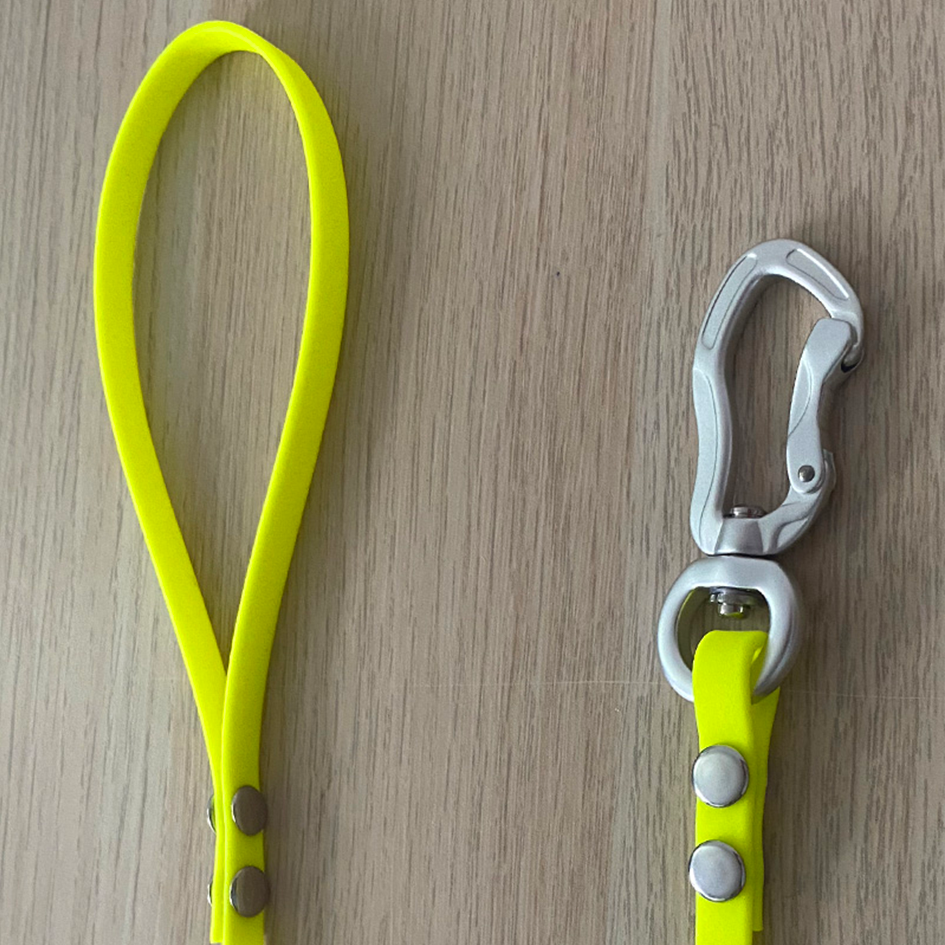 Longe DolceVitaDog Biothane 15M