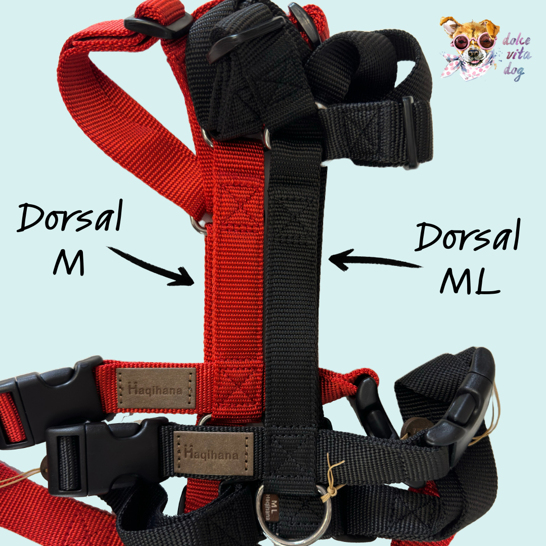 ML Rosso Haqihana Comparaison