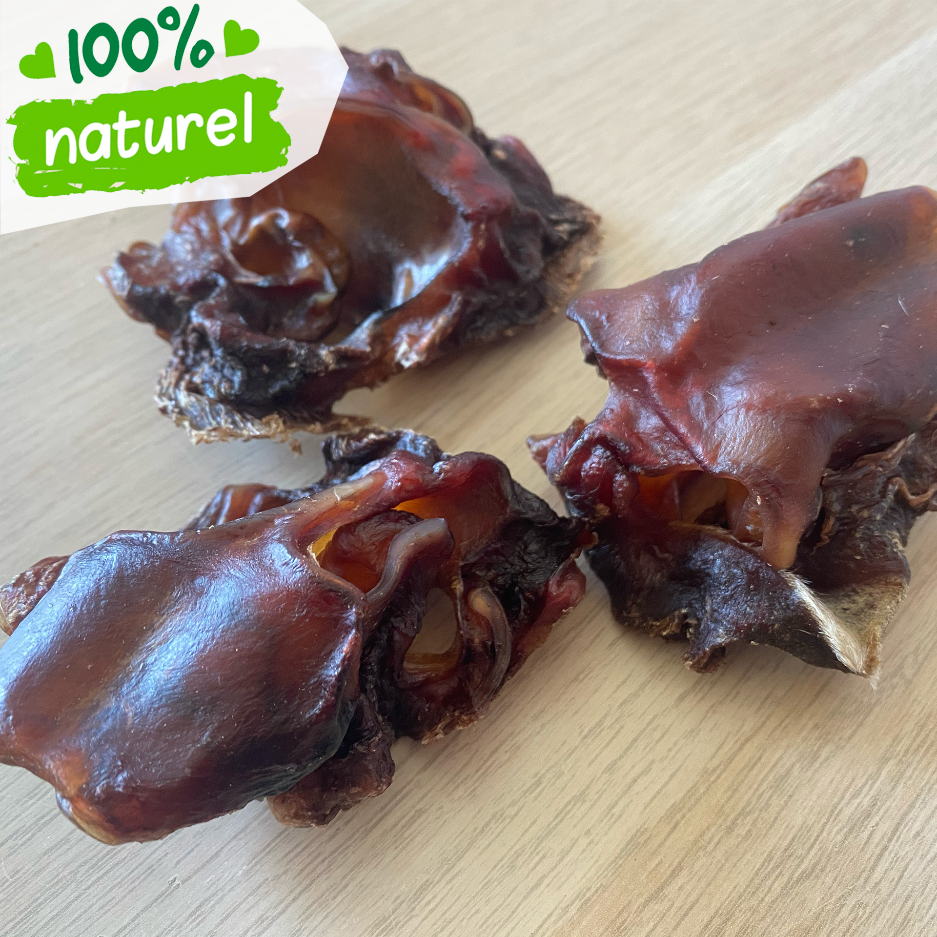 Cartilage Nasal Séché