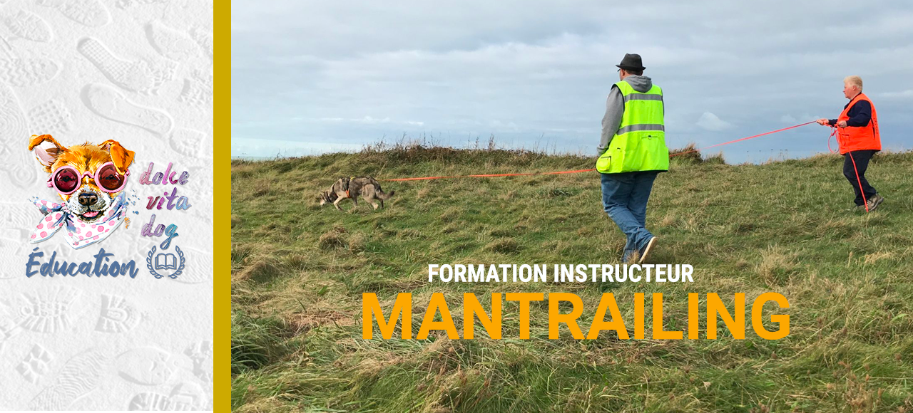 Formation instructeur Mantrailing