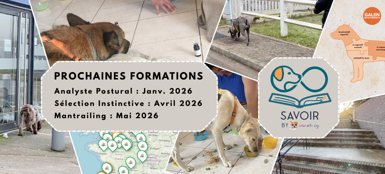 Formations DolceVitaDog SAVOIR