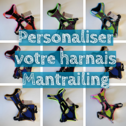 Mantrailing harness Grossenbacher DolceVitaDog