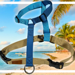 Haqihana Caribbean Bay