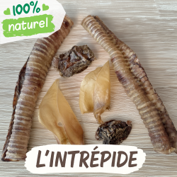 L'Intrépide, friandises naturelles inédites