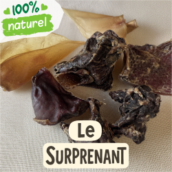 Le Surprenant