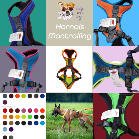 Mantrailing harness Grossenbacher DolceVitaDog