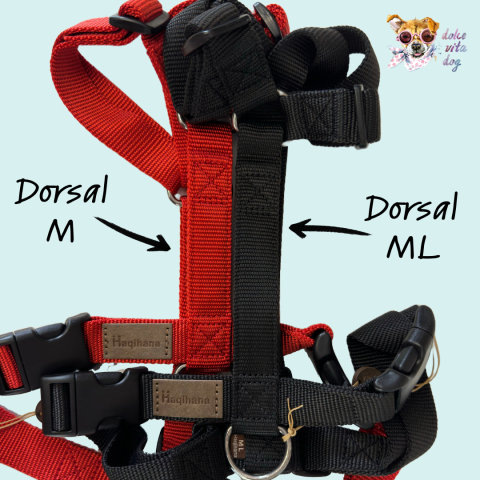 ML Artic Haqihana Comparaison