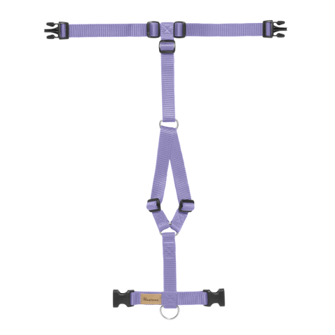 Lavender Haqihana