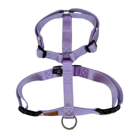 Lavender Haqihana