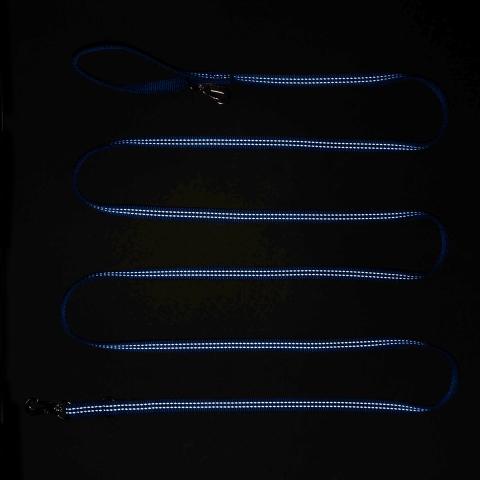 Haqihana High Visibility Leash