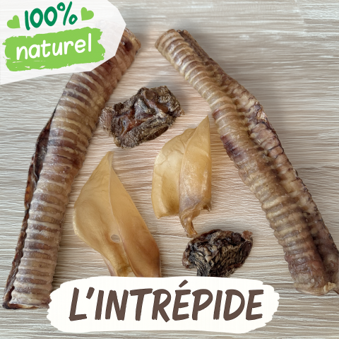 L'Intrépide, friandises naturelles inédites