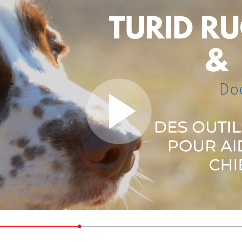 Des outils simples pour aider nos chiens - Turid Rugaas et DogFieldStudy