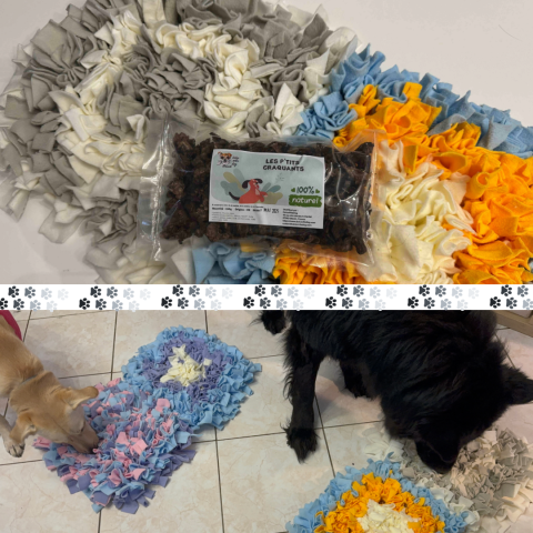 Snuffle Quest